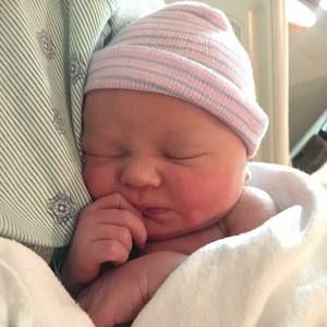 Meet your Posher, Lindsay